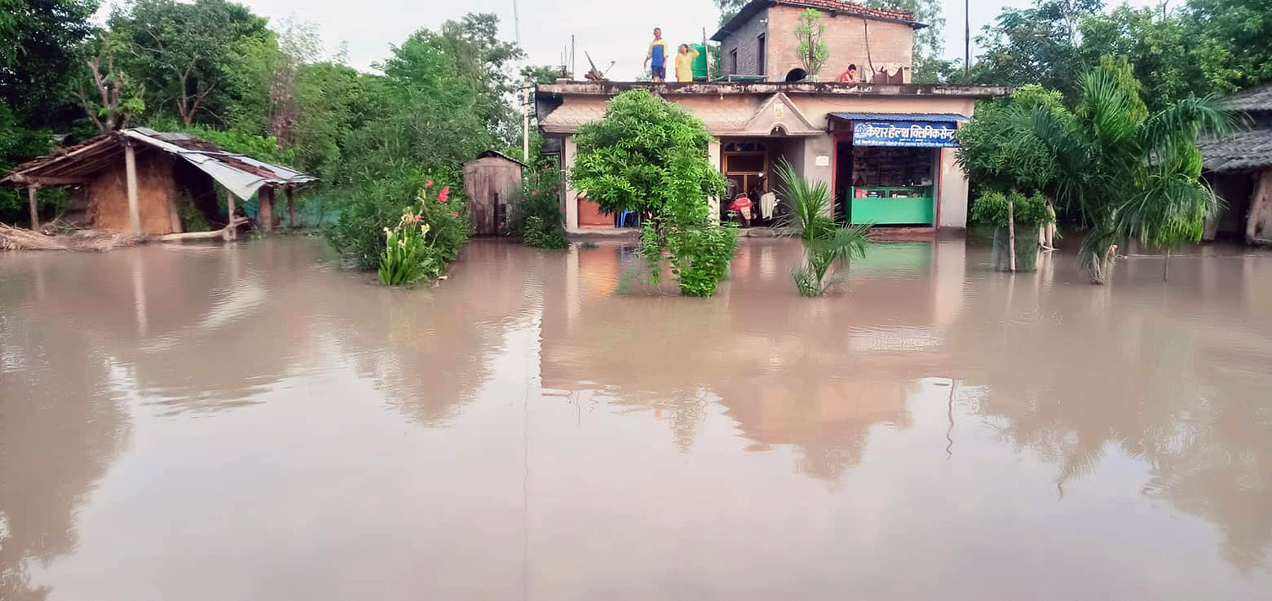 बाढीले कैलालीको भजनी नगरपालिका वडा नम्बर ८ डुबानमा